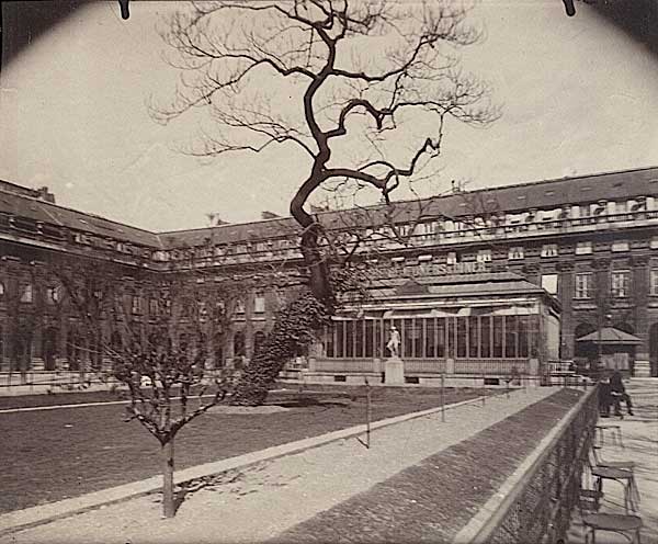 Jardin du Palais Royale &agrave; Paris, Albumen print, 1905