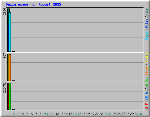 Daily usage for August 2025