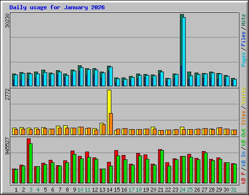 Daily usage for January 2026