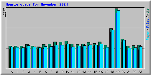 Hourly usage for November 2024
