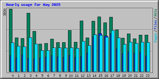 Hourly usage for May 2025