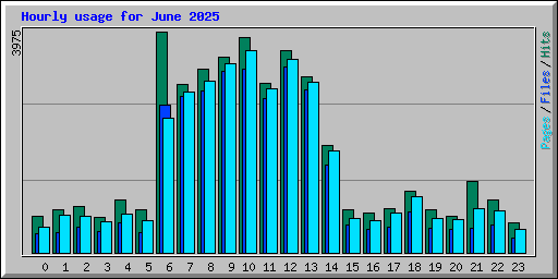 Hourly usage for June 2025