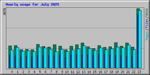 Hourly usage for July 2025