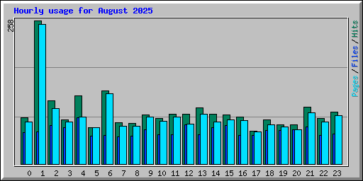 Hourly usage for August 2025