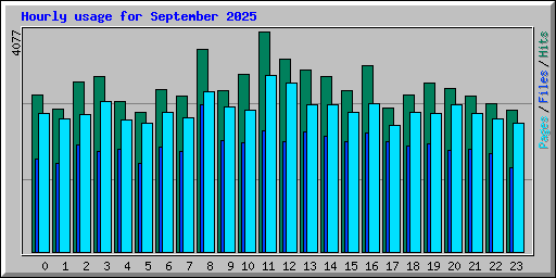 Hourly usage for September 2025