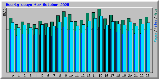 Hourly usage for October 2025