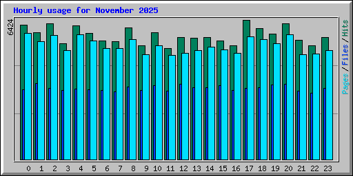 Hourly usage for November 2025