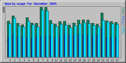 Hourly usage for December 2025