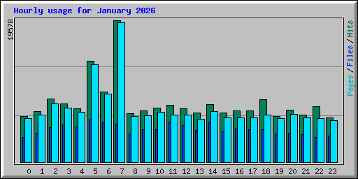 Hourly usage for January 2026