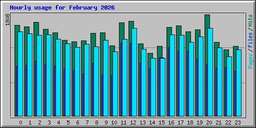 Hourly usage for February 2026