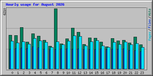 Hourly usage for August 2026